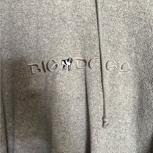 Big Dogs Gray Hoodie